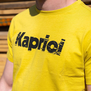 Stand ou and be comfortable with this kapriol gold  work t shirt