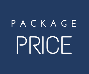 jasic MIG 250 Package Price