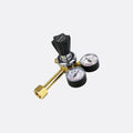 Co2 Regulator 2 Gauge Side Entry