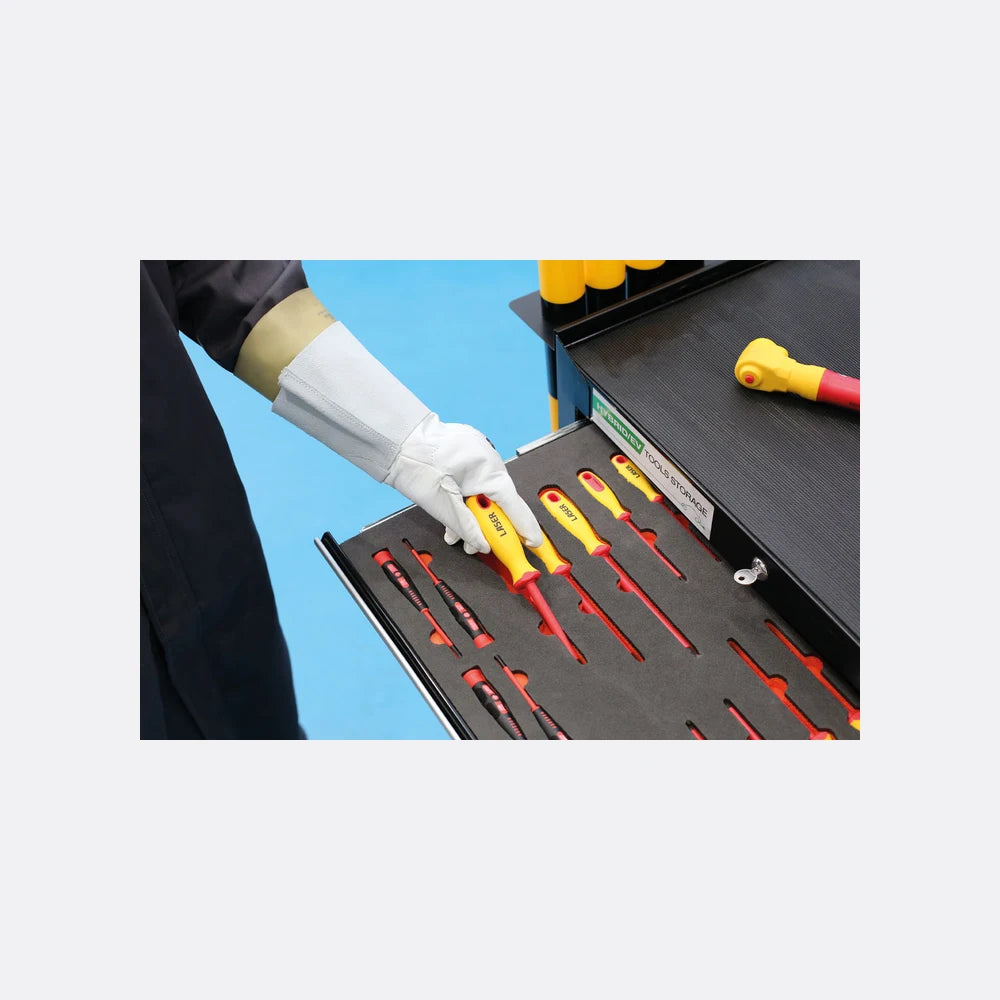 EV Cabinet with Foam Inlays, Tools & Safety Products